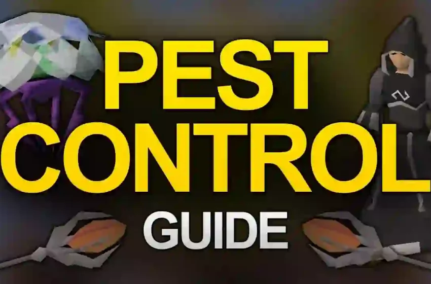  A Pest Control Guide to Spiders in Utah