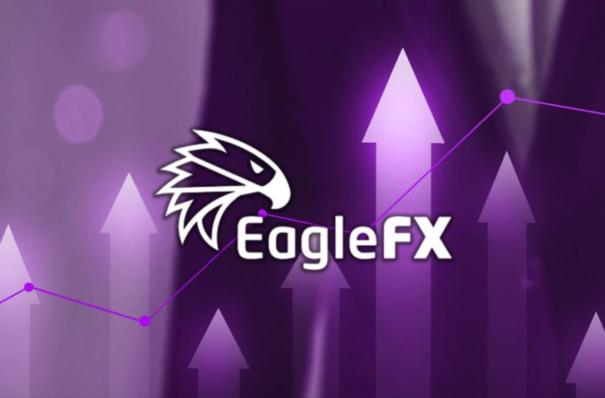 EagleFX Review – Why This Broker Is a Top Choice For Traders?