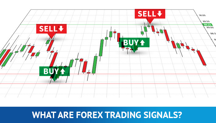  Importance Of Free Forex Signal In Forex Trading