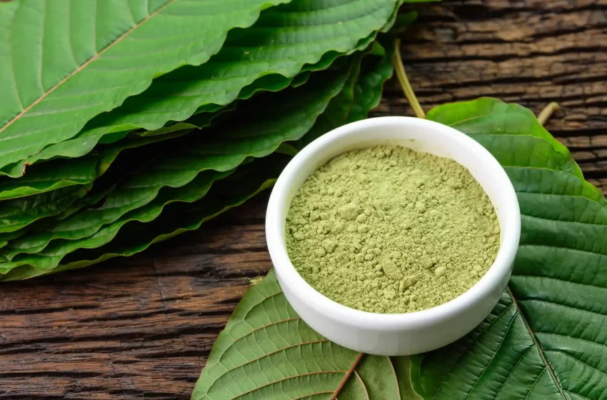  5 Common Kratom Shopping Mistakes to Avoid for New Users