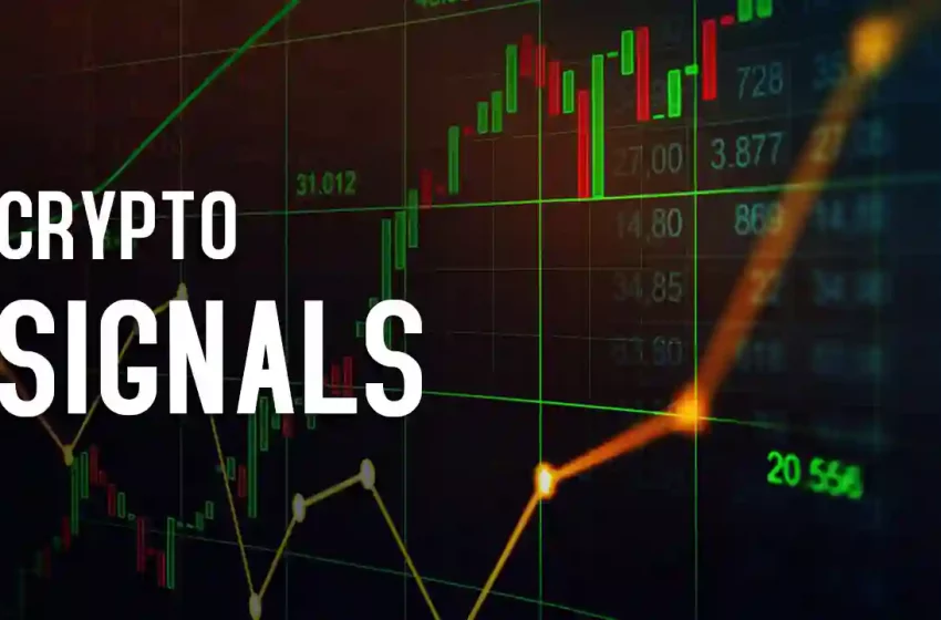 Find Out The Best Crypto Trading Signals