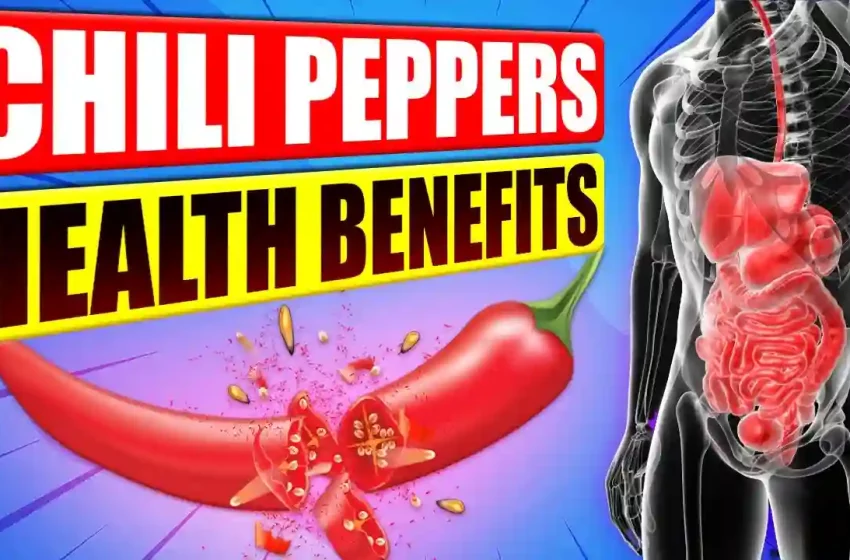  Wellhealthorganic – Red Chilli You Should Know About Red Chilli Uses, Benefits, Side Effects