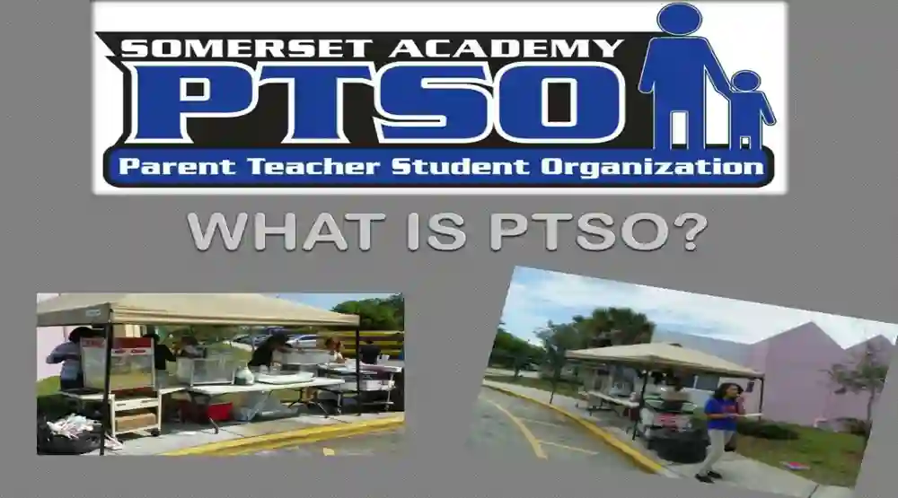 PTSO Meaning