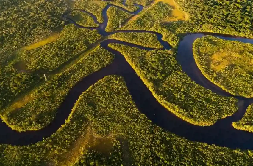  Biggest thing in the world: Revealing Nature’s Giant Wonders