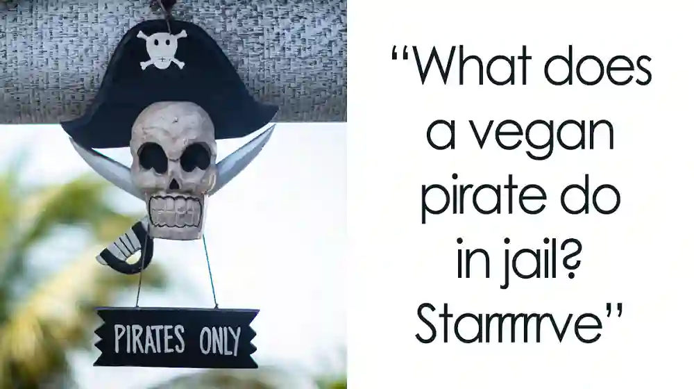 Funny Pirate Sayings