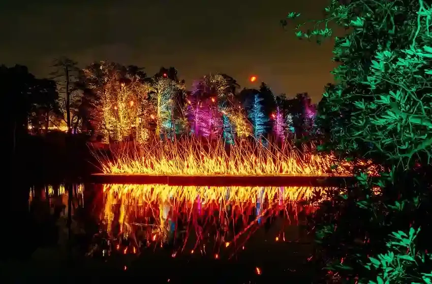  Windsor Great Park Illuminated: An Enchanting Experience for All Ages