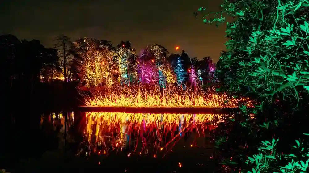 Windsor Great Park Illuminated